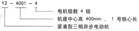 YR系列(H355-1000)高压ZZJ-804三相异步电机西安西玛电机型号说明